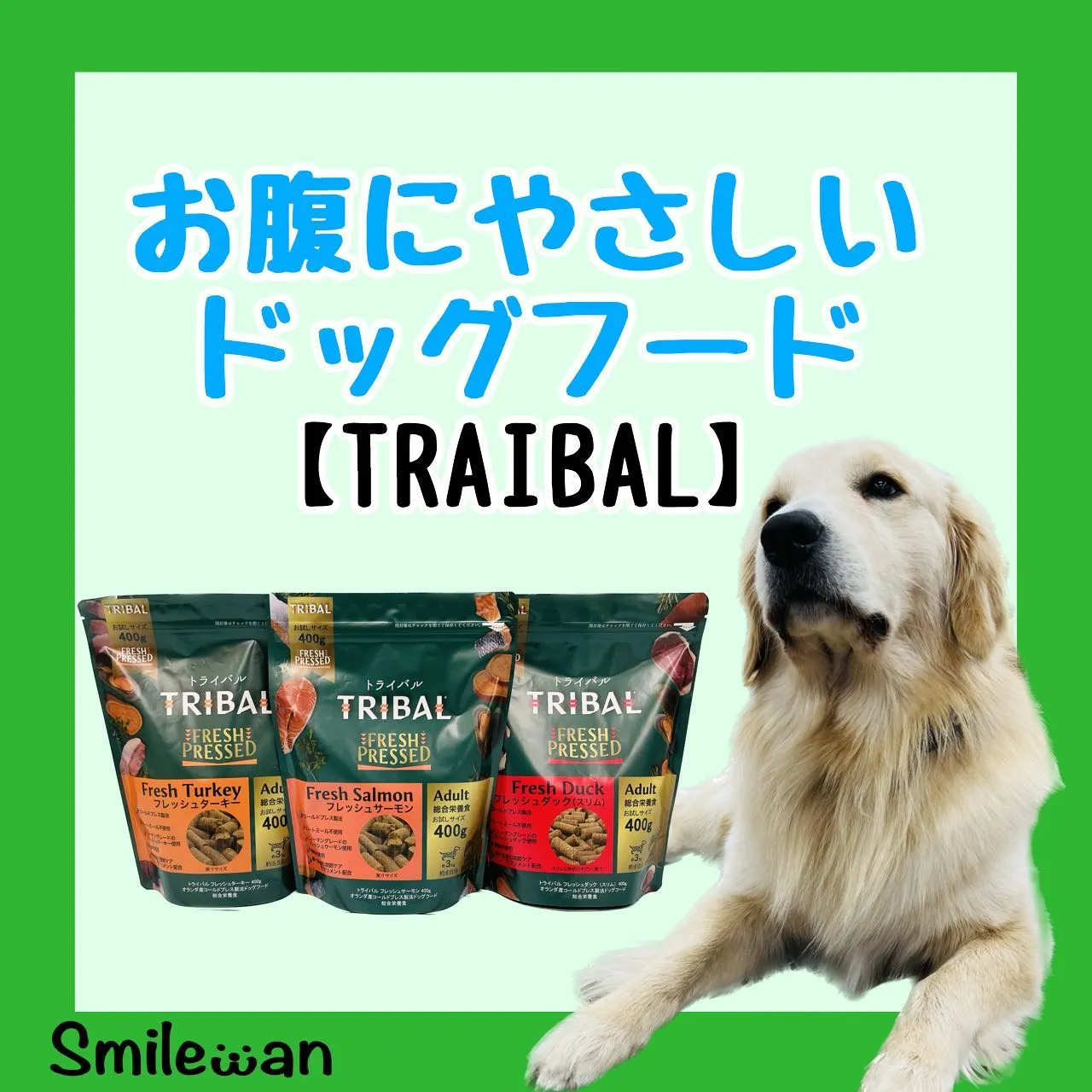 こんばんは⭐️