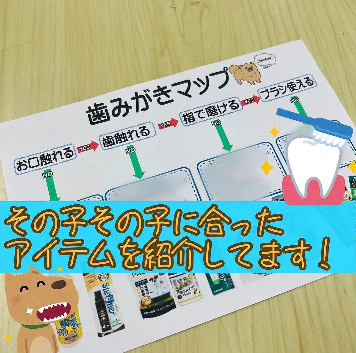 スマイルわんのお店で歯磨きマップを作成しました🦷🪥