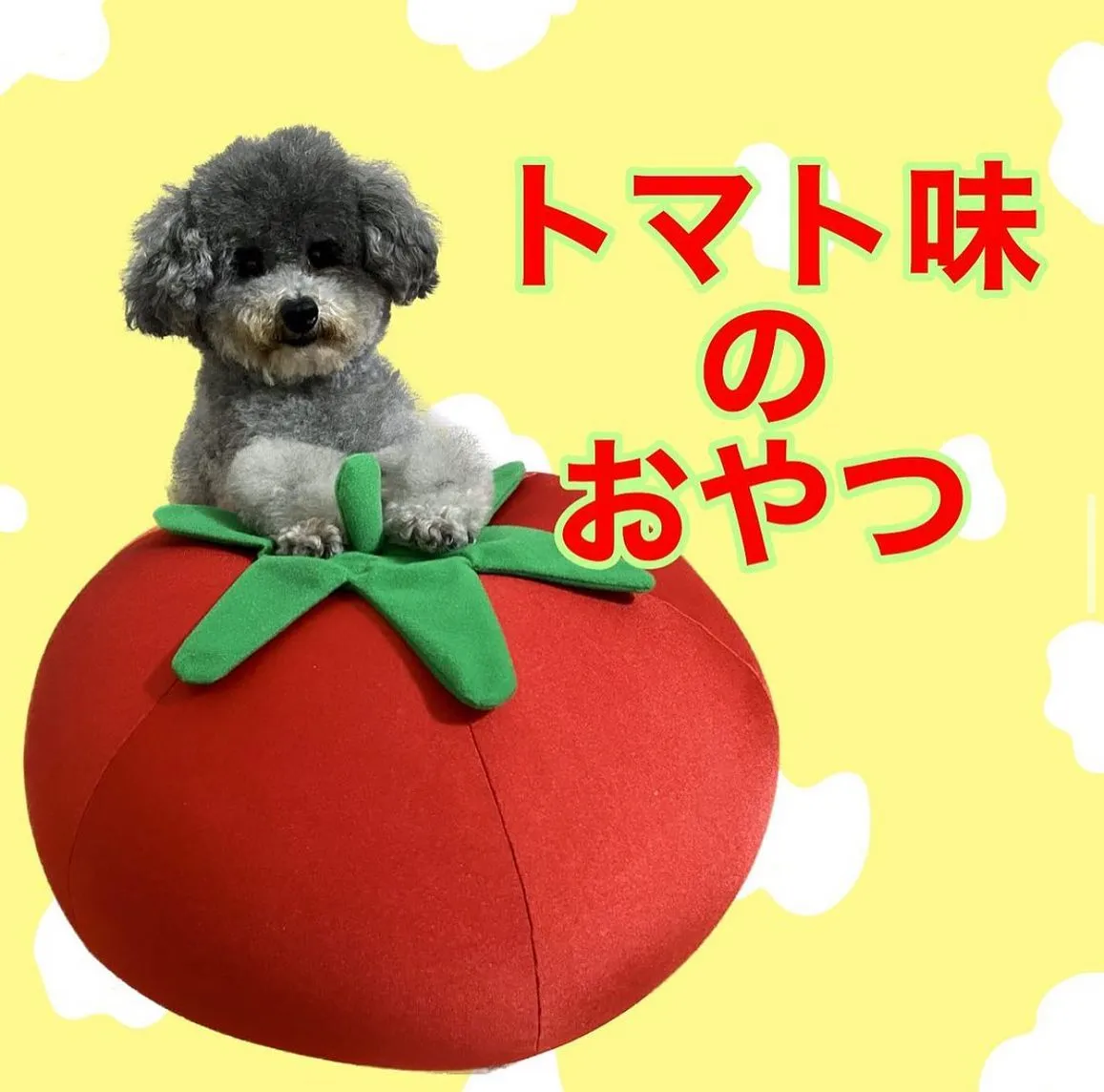 わんこのおやつ🐾