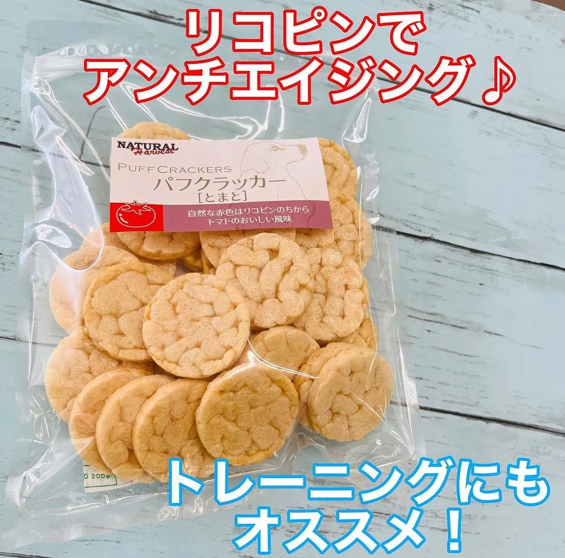 わんこのおやつ🐾