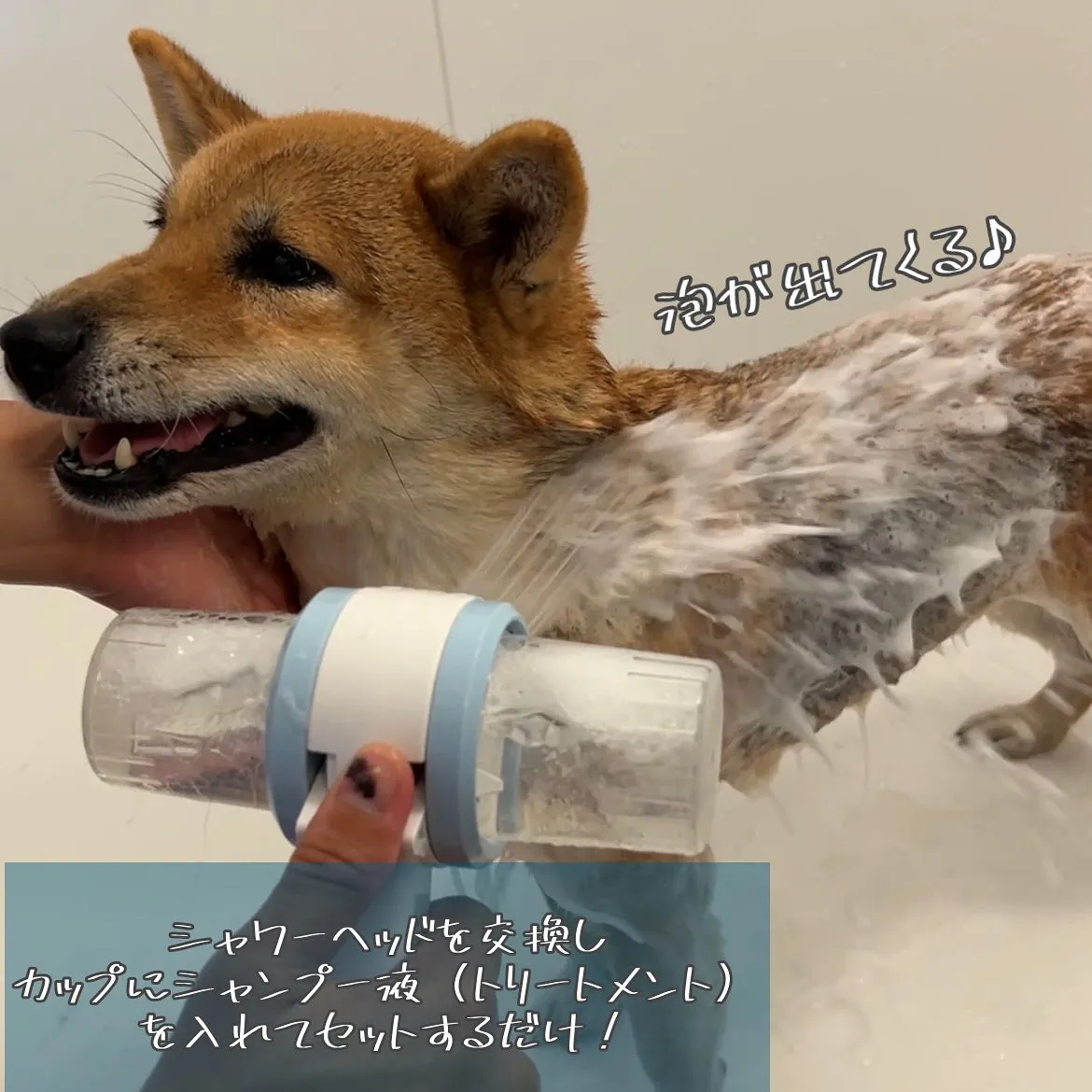 お風呂グッズ🛁