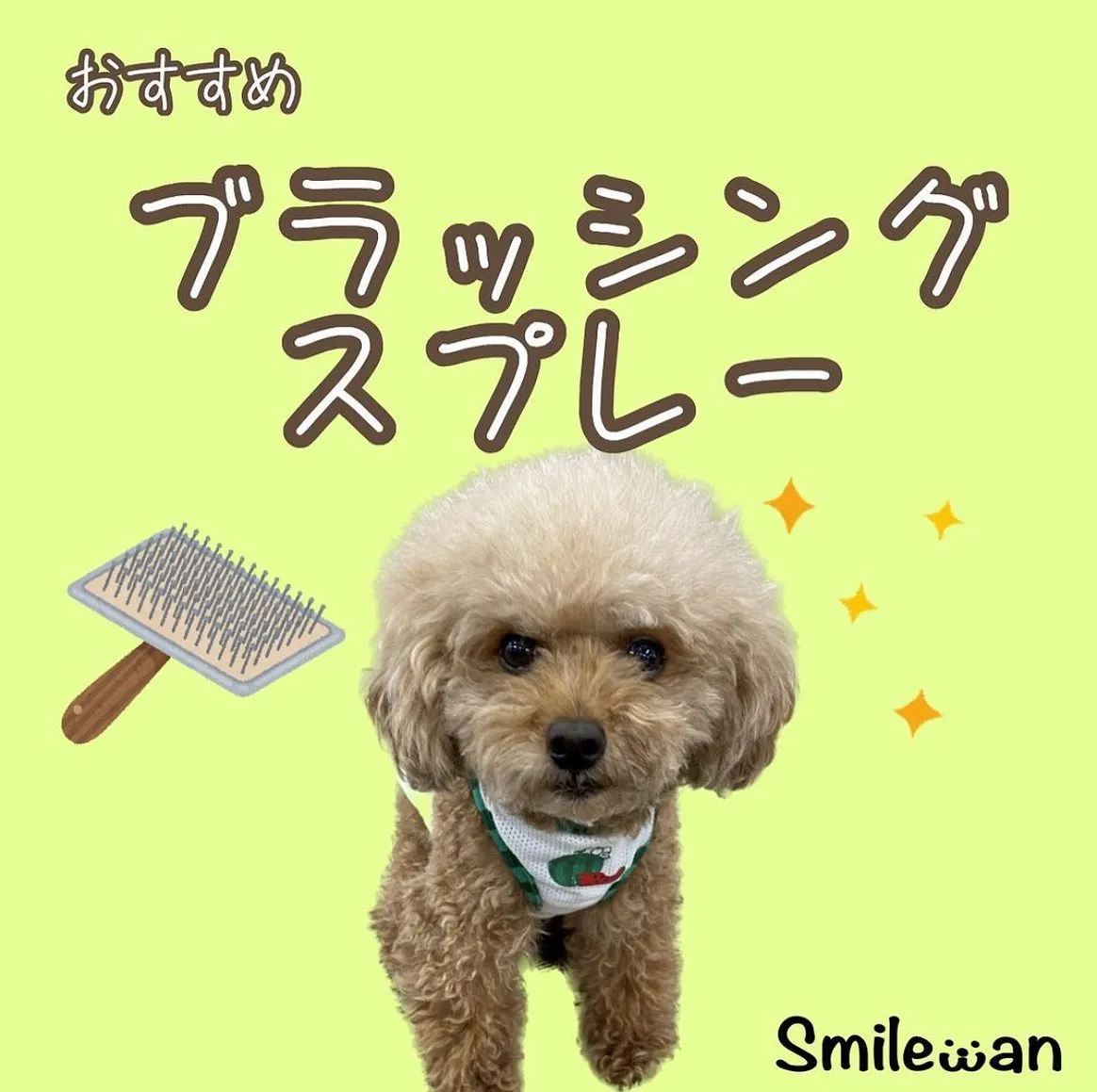 お手入れグッズ✨