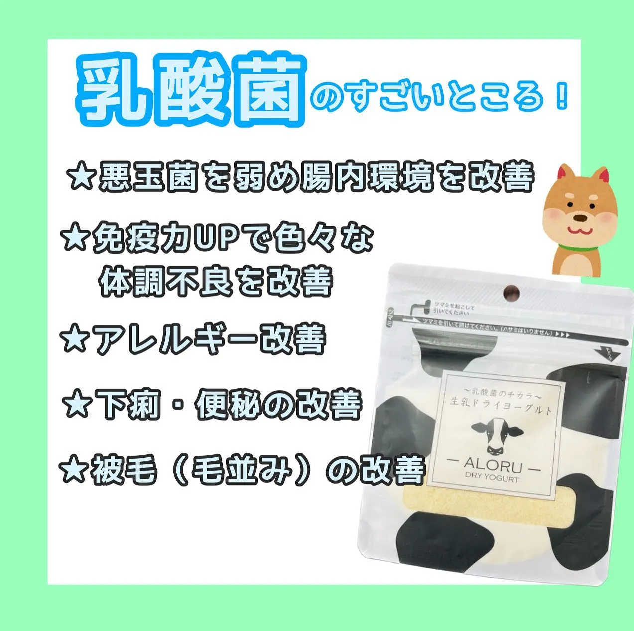 わんこのヨーグルト🐮