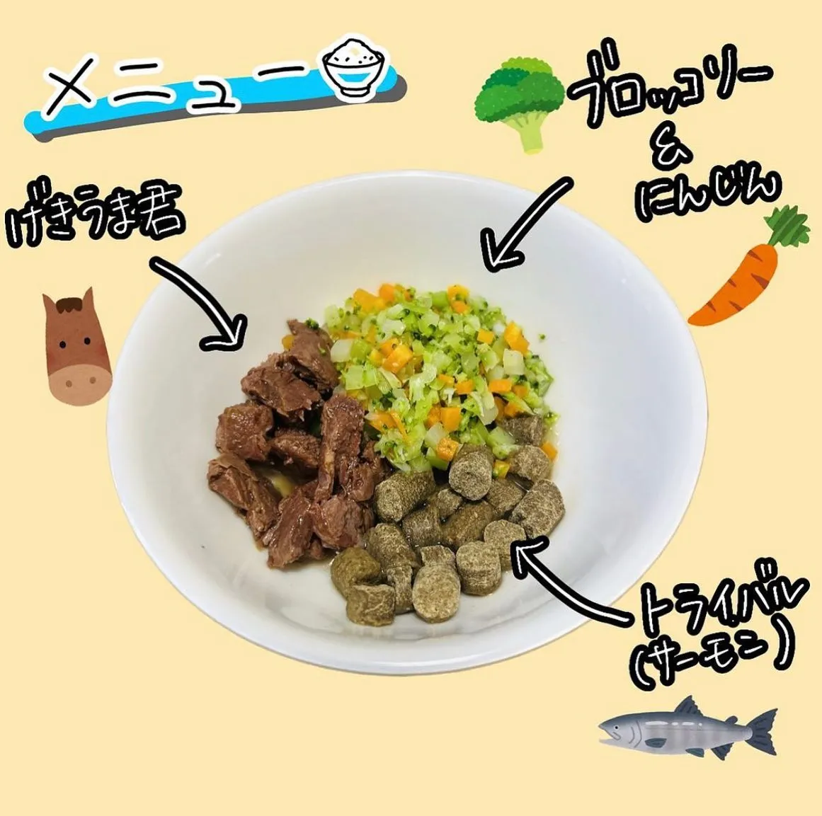 手作りごはん🍚