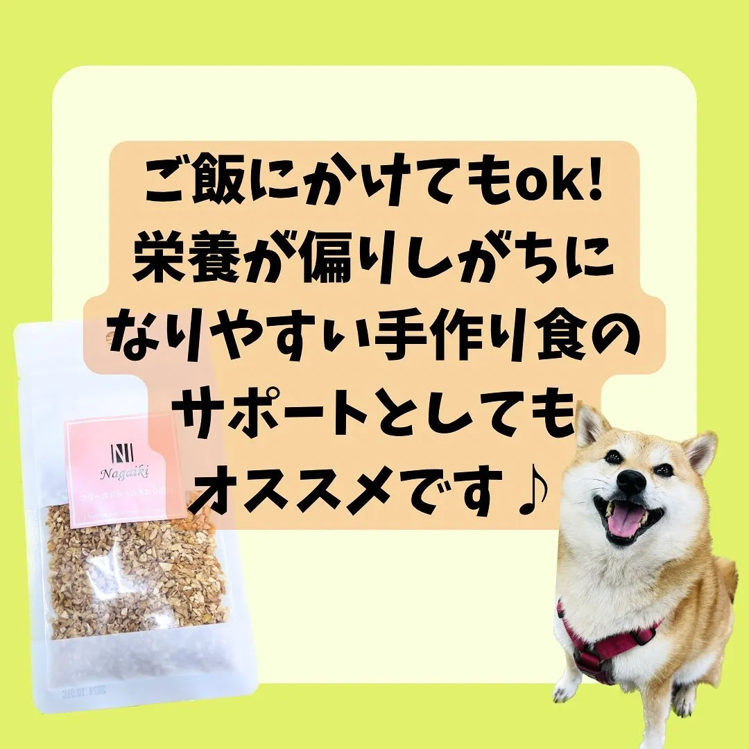 【フリーズドライ　ひきわり納豆】のご紹介✨