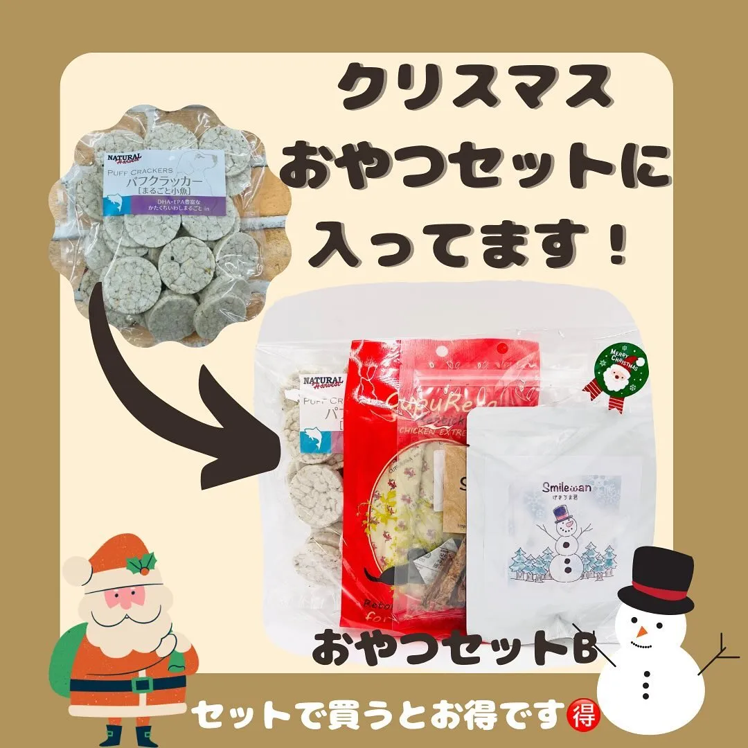 おすすめわんこのおやつ🐾