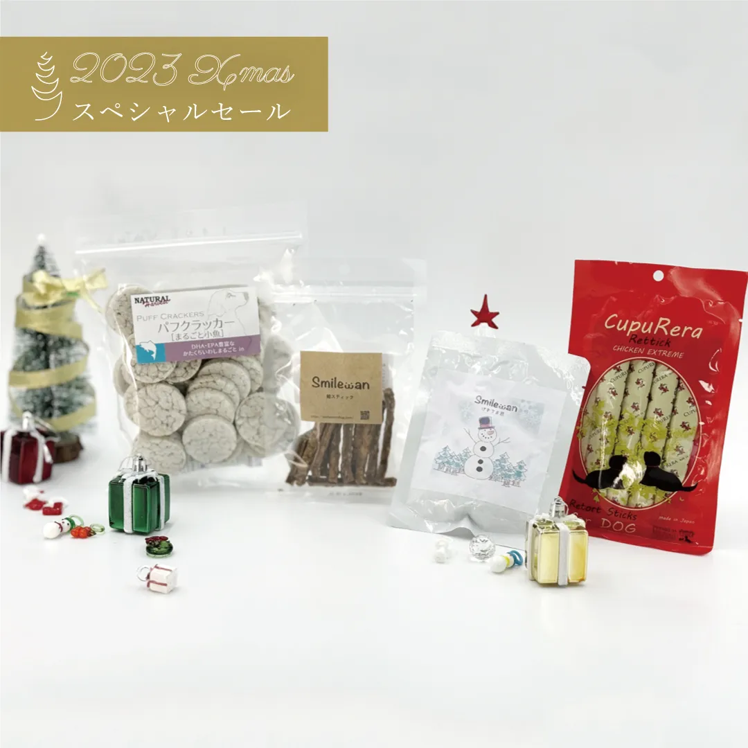 クリスマスセール、開催中！