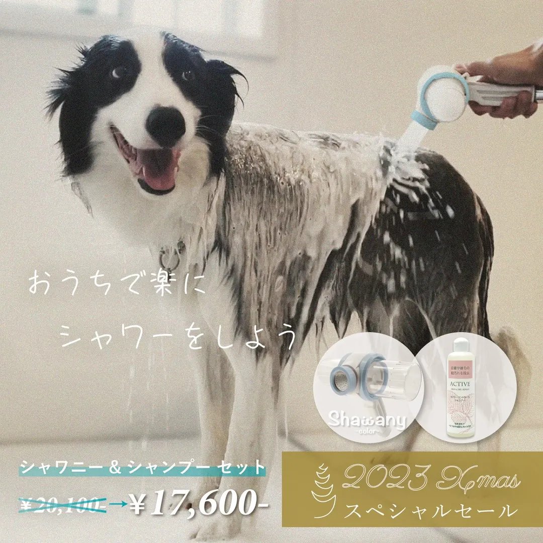 クリスマスセール、開催中！