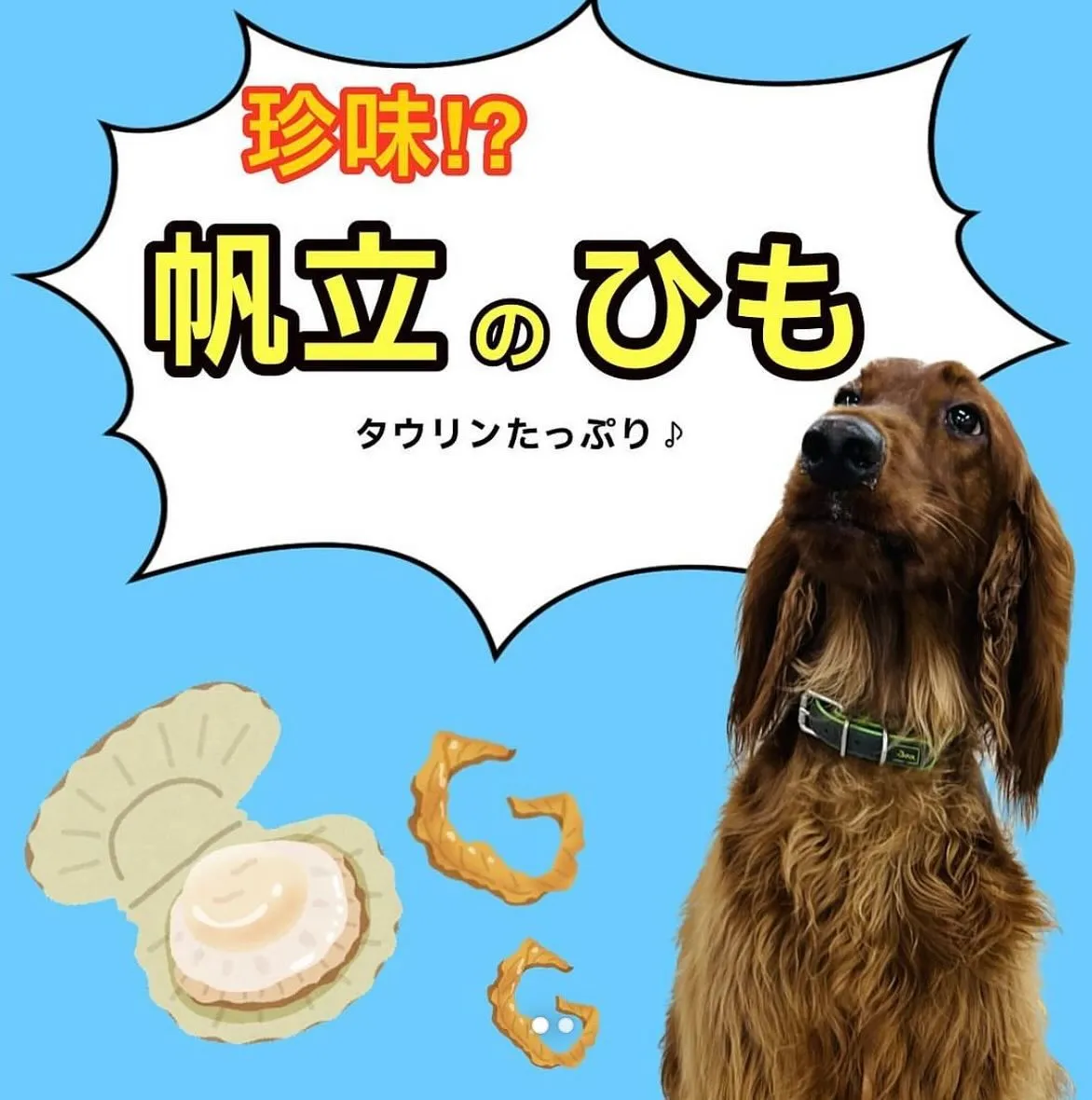 わんこのおやつ