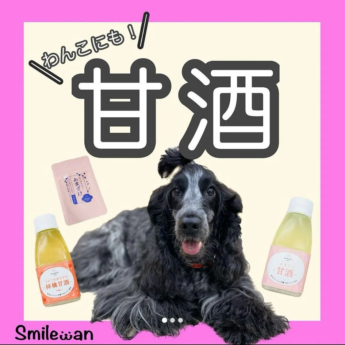 腸内環境アップ🎶