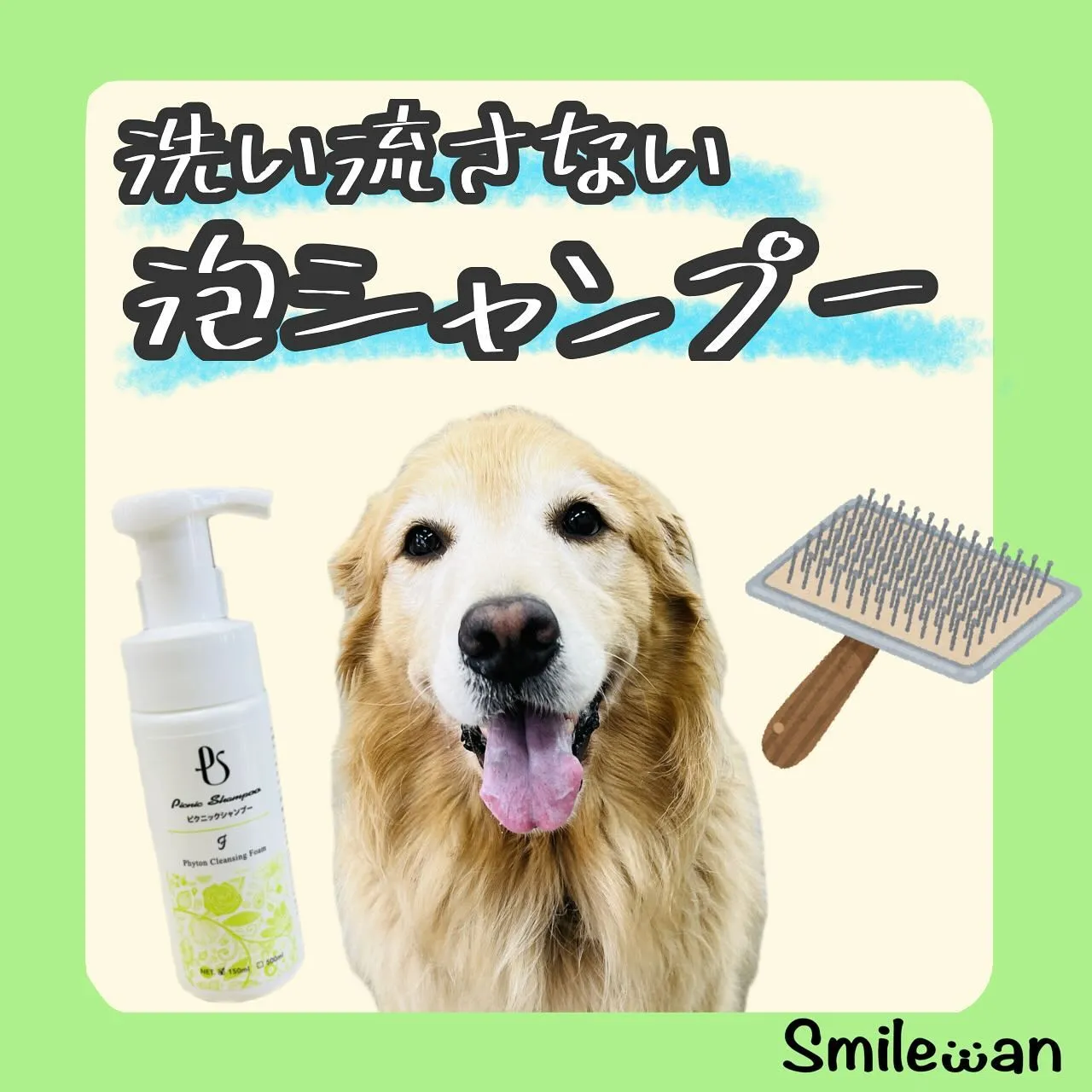 お手入れグッズ🐾