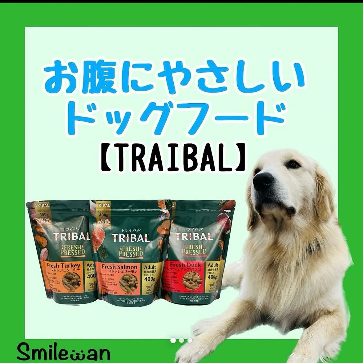 こんばんは⭐️