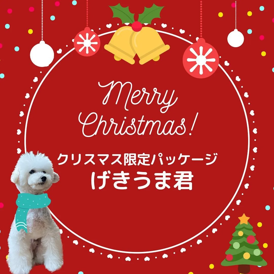 年に1度のお楽しみ✨