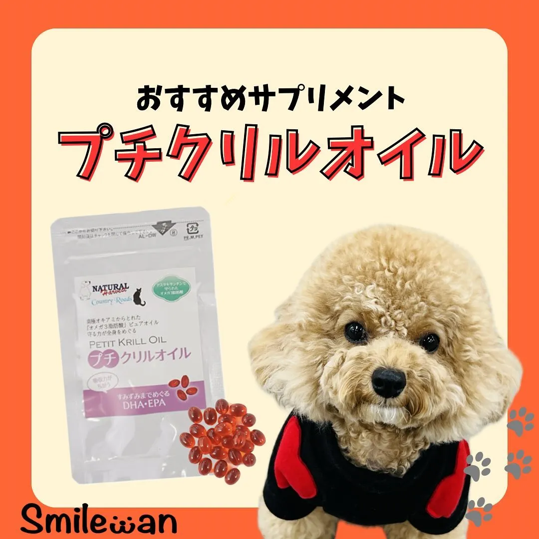 オススメサプリメント