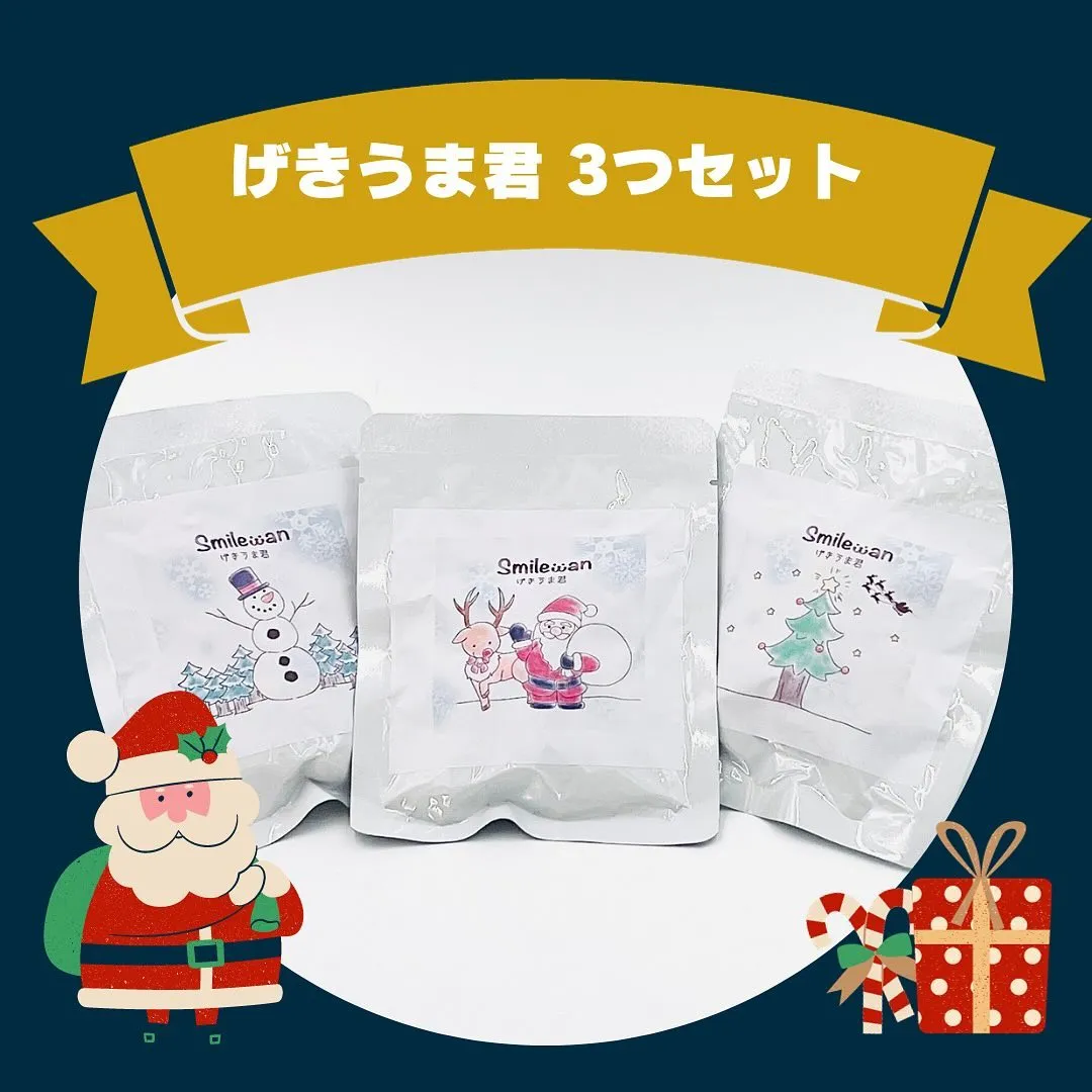 わんこのクリスマスプレゼント