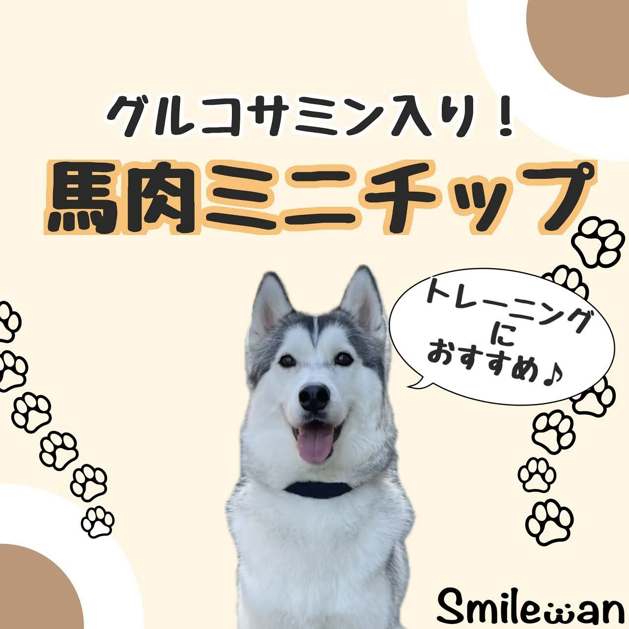 わんこのおやつ🐾