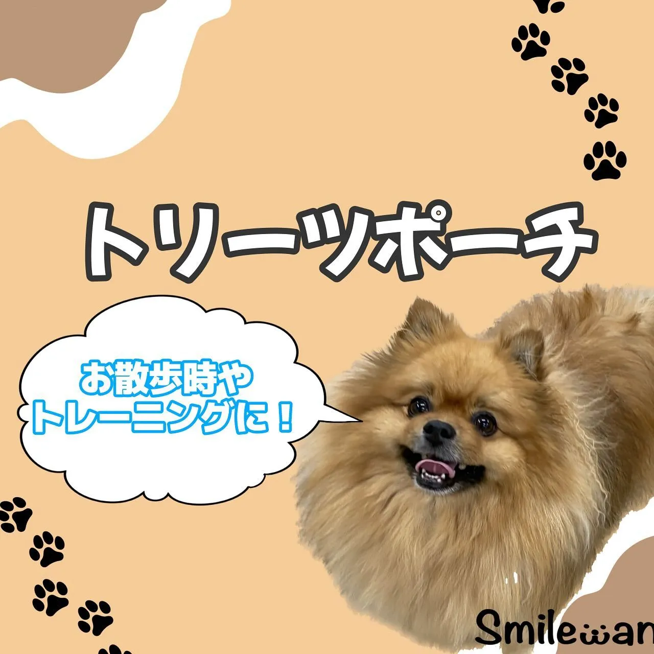 トレーニンググッズ🐾