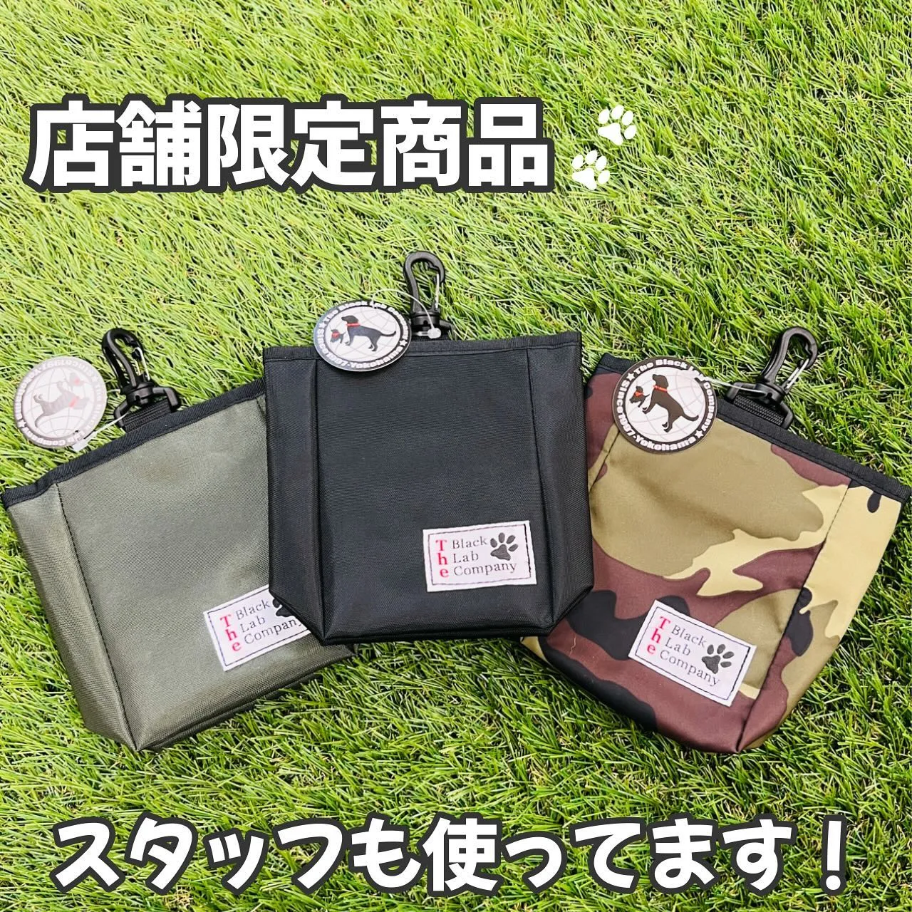 トレーニンググッズ🐾