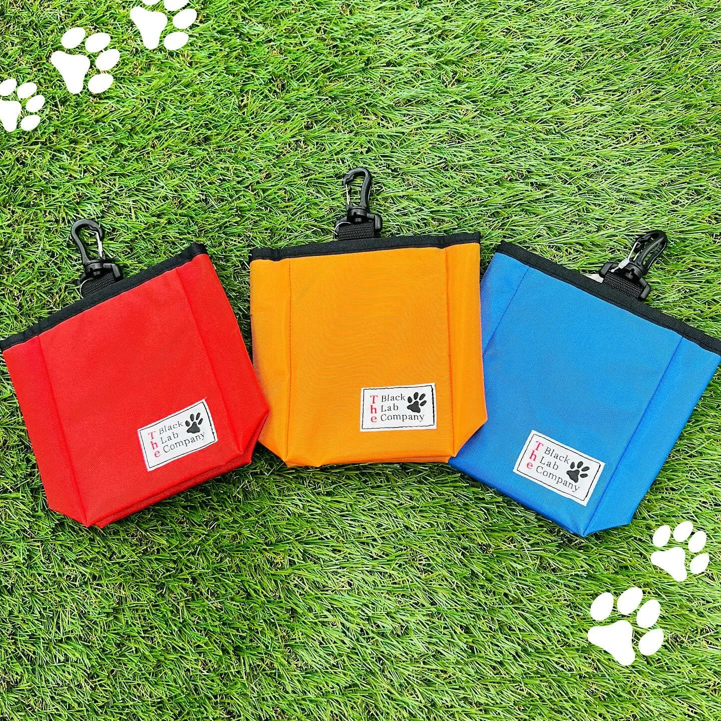 トレーニンググッズ🐾