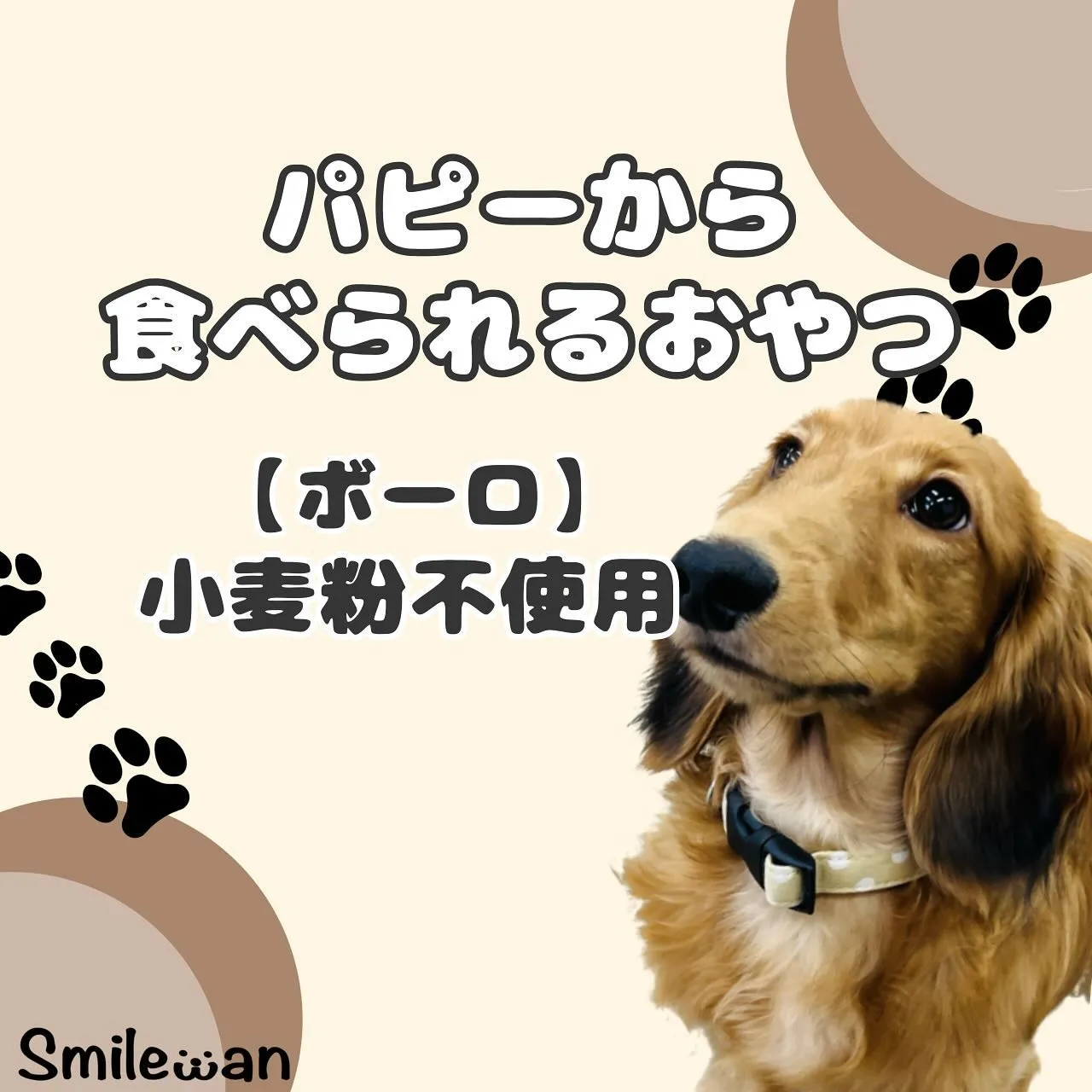 パピーから食べられるおやつ