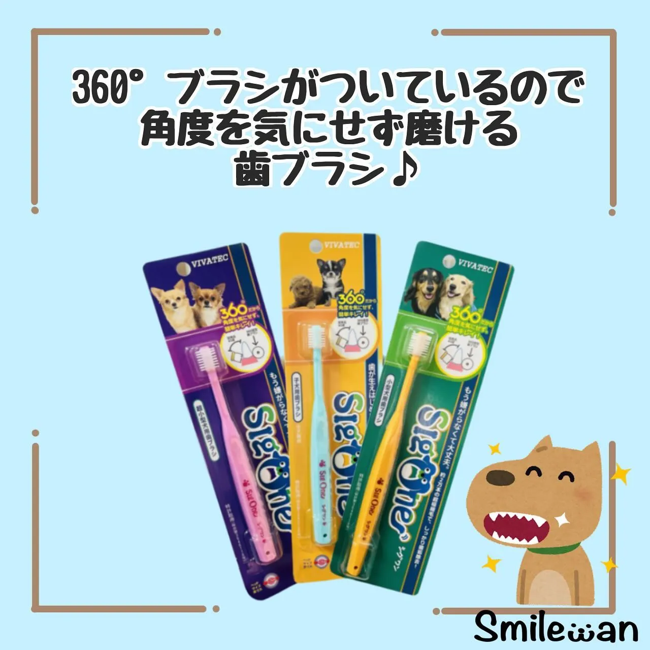 デンタルケア🦷🪥✨