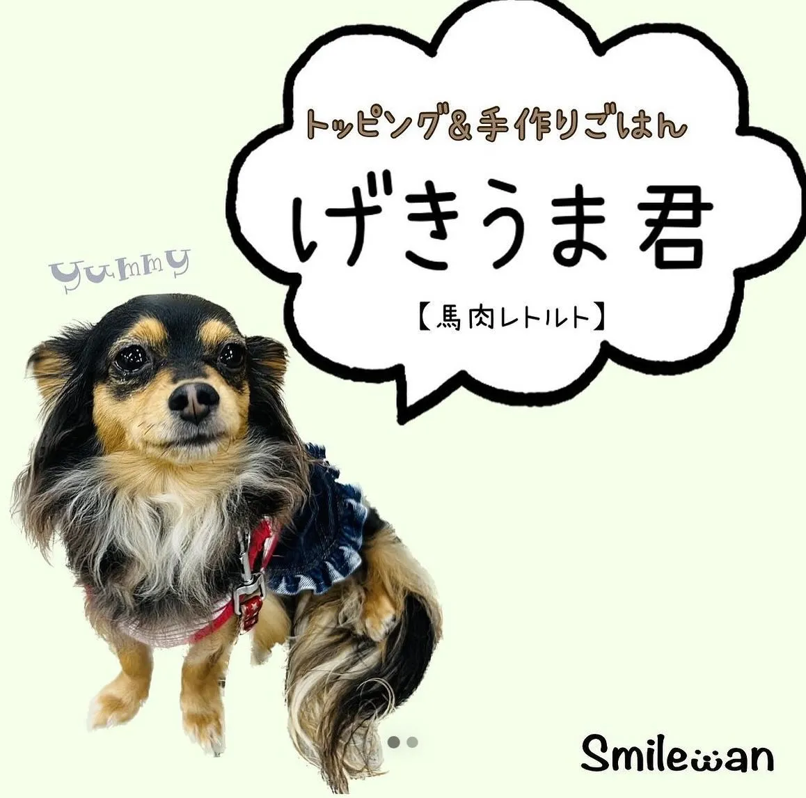 わんこのごはん🍚