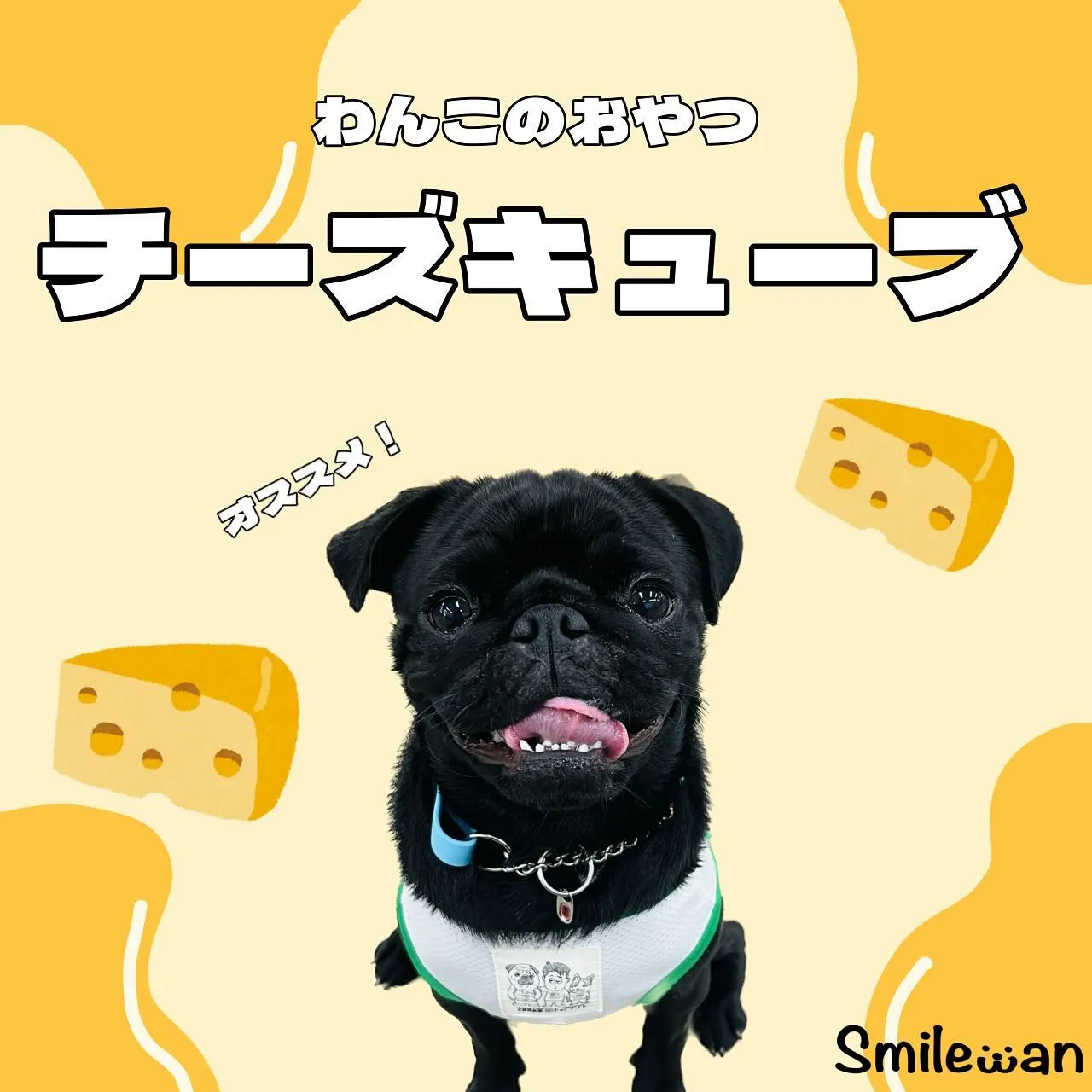 わんこのおやつ🎶