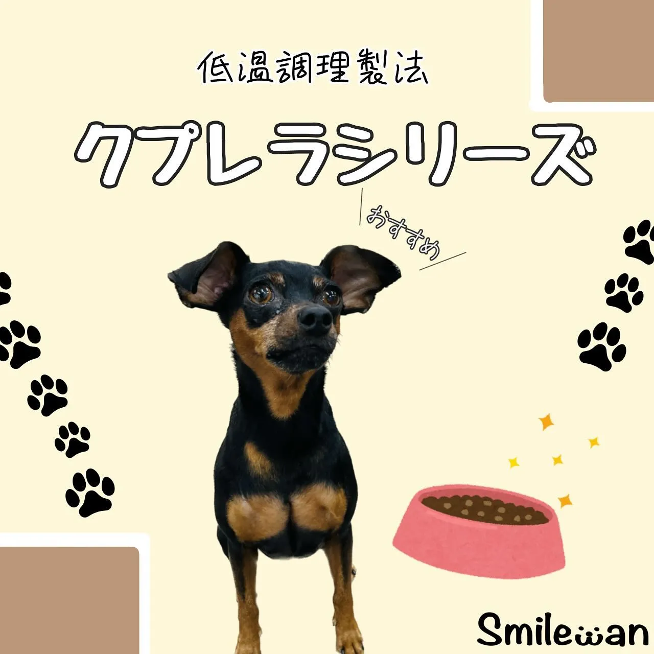 ドッグフード のご紹介✨