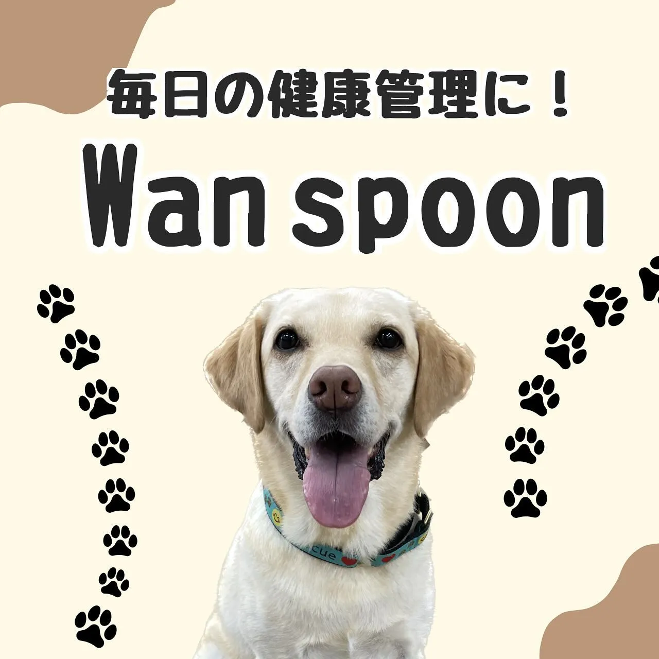 おすすめグッズ紹介✨