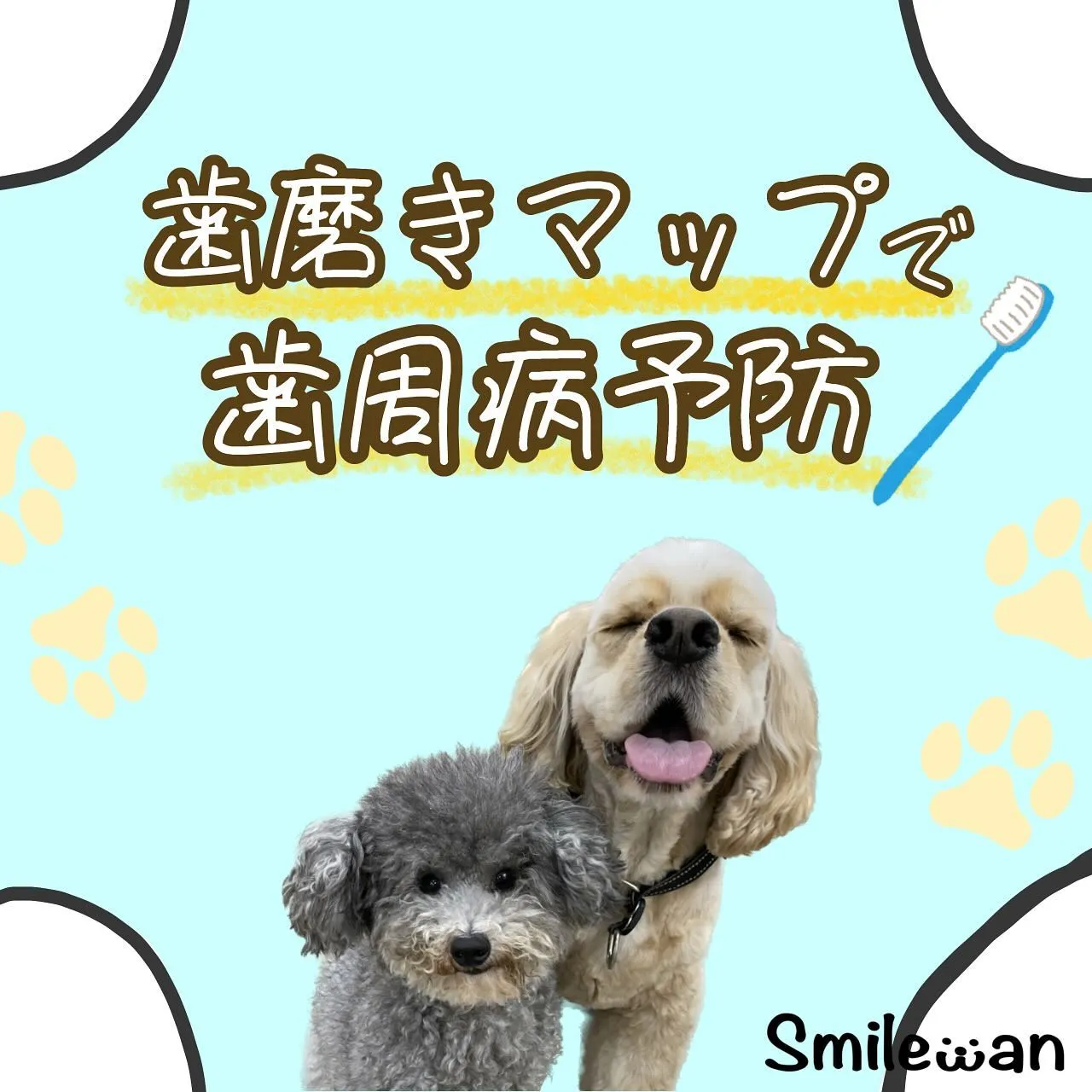 歯磨きマップ🦷🪥