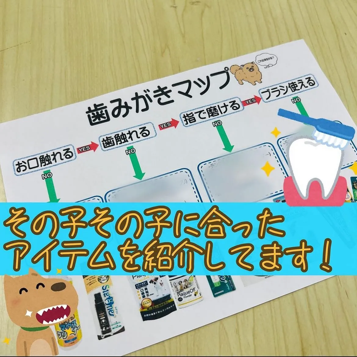 歯磨きマップ🦷🪥