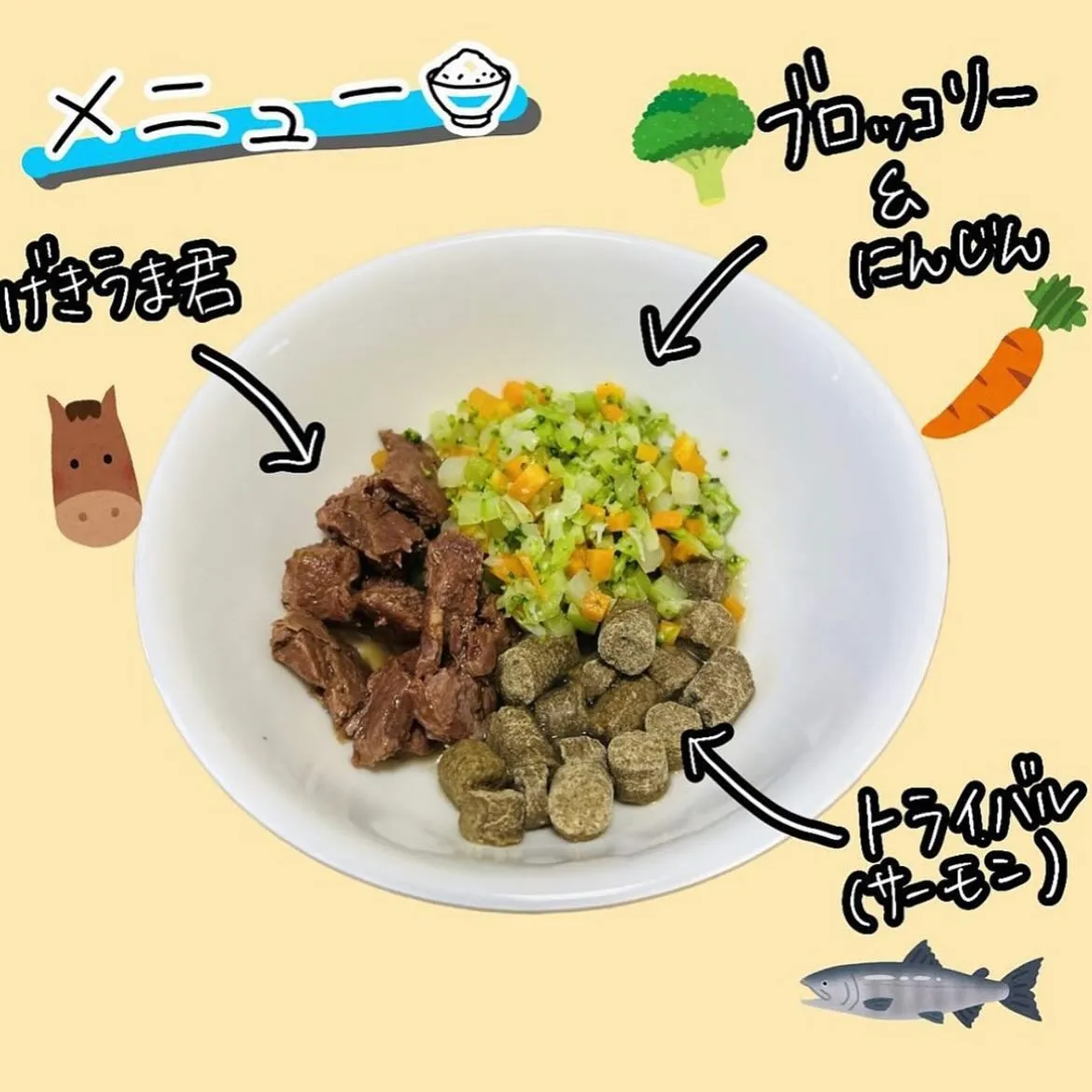 手作りごはん🍚