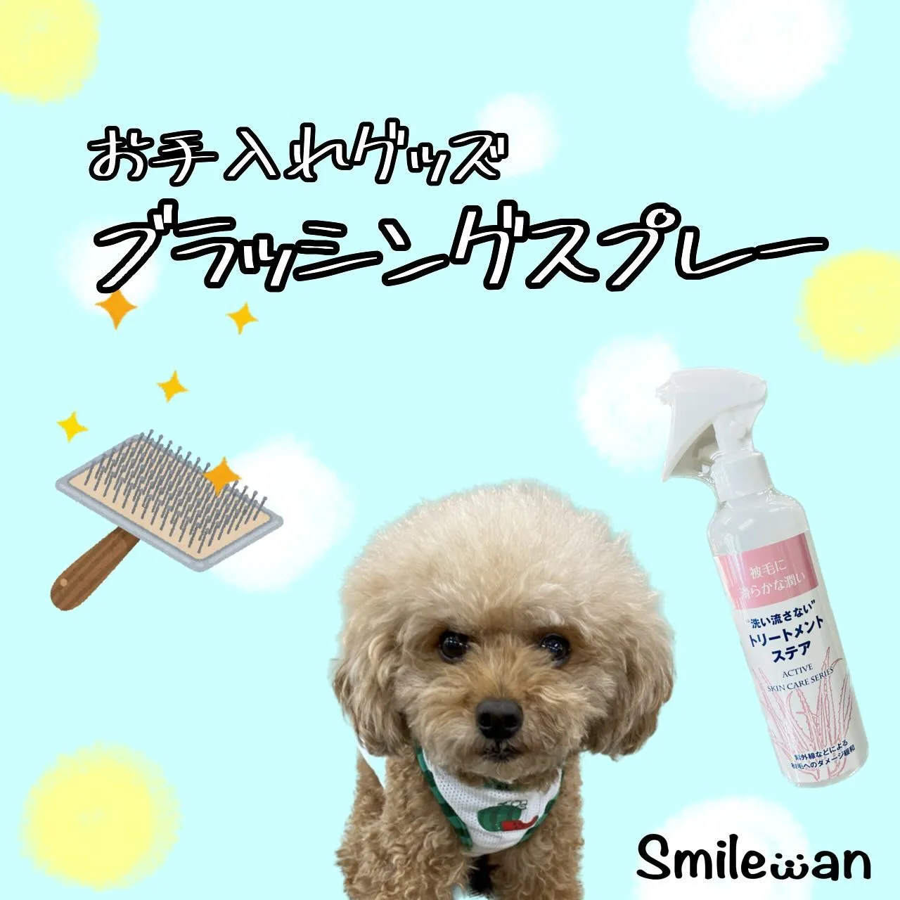 お手入れグッズ✨