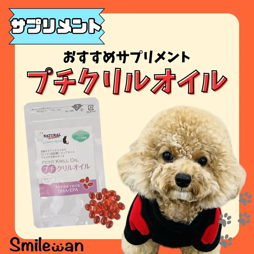 オススメサプリメント