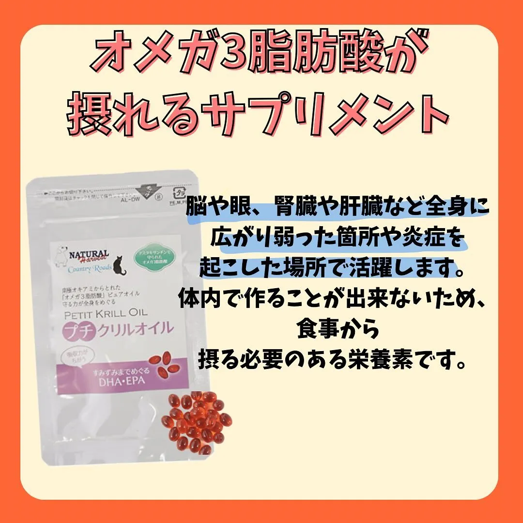 オススメサプリメント