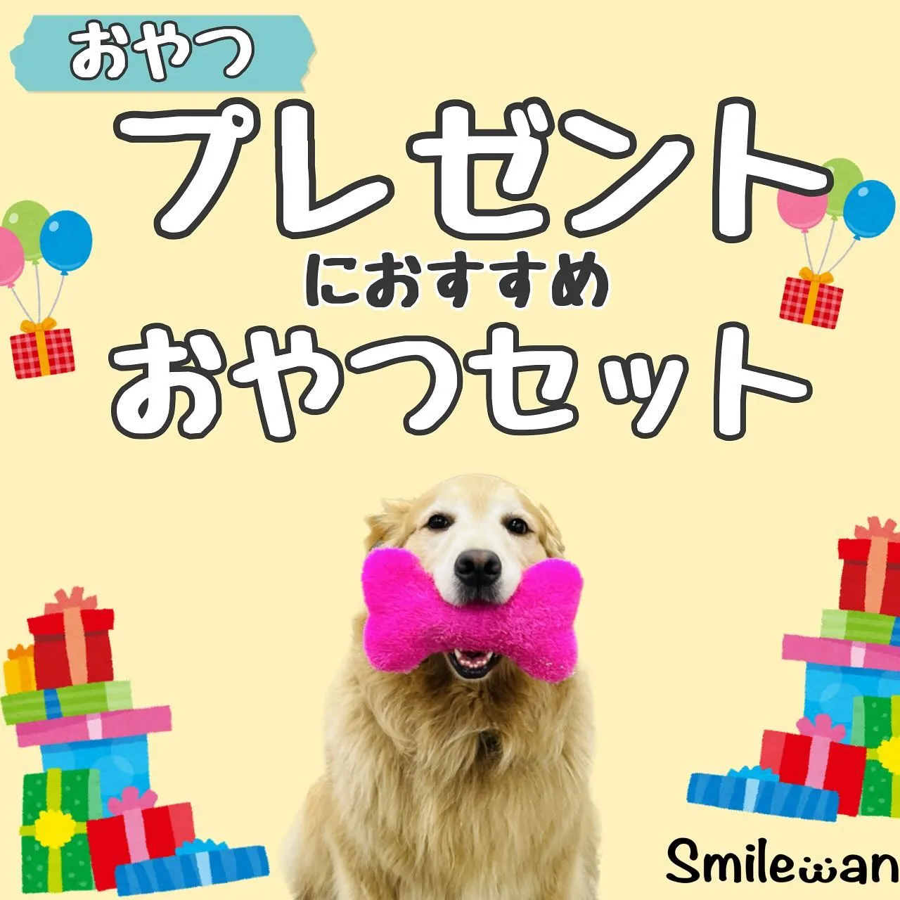 わんこのギフト🎁