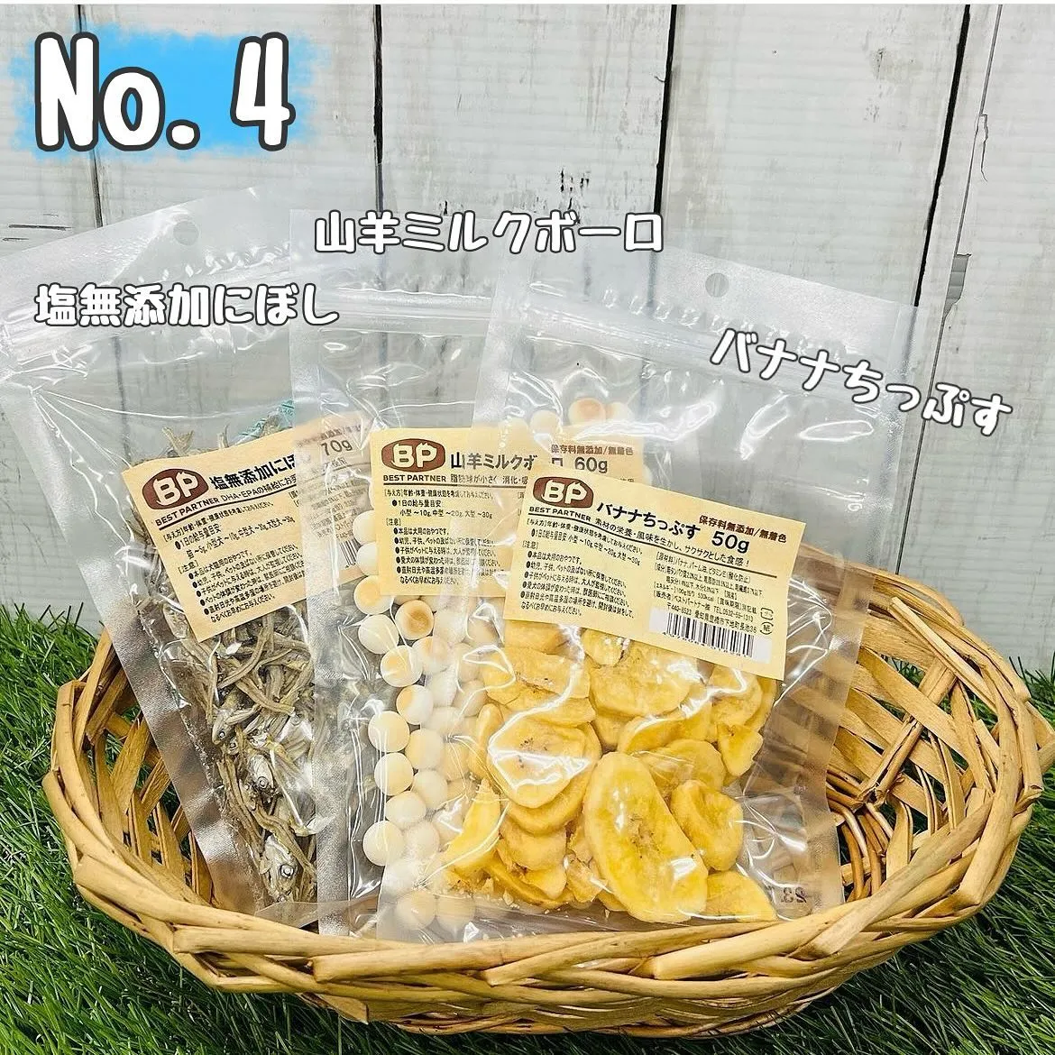 わんこのギフト🎁