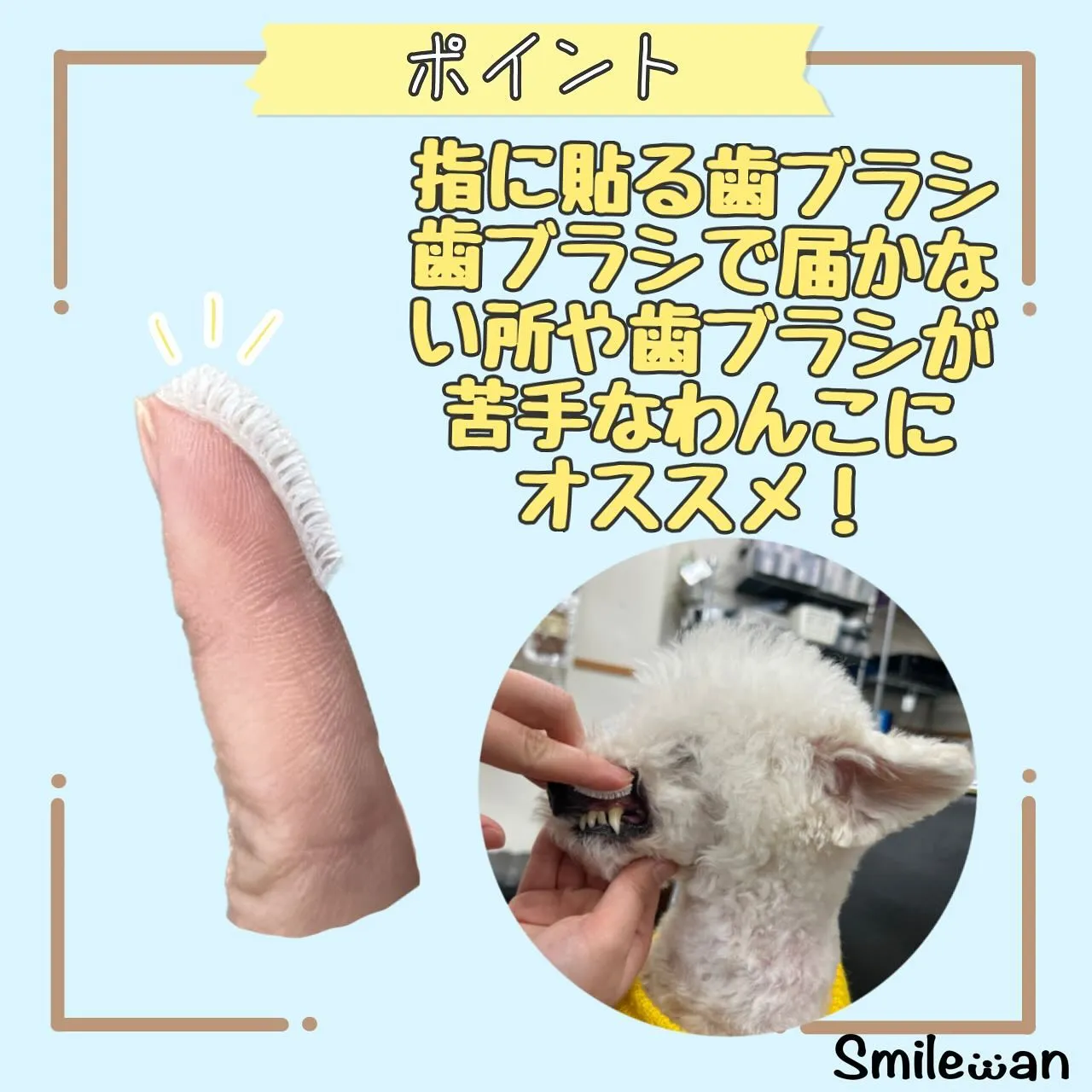 新商品入荷のお知らせ✨