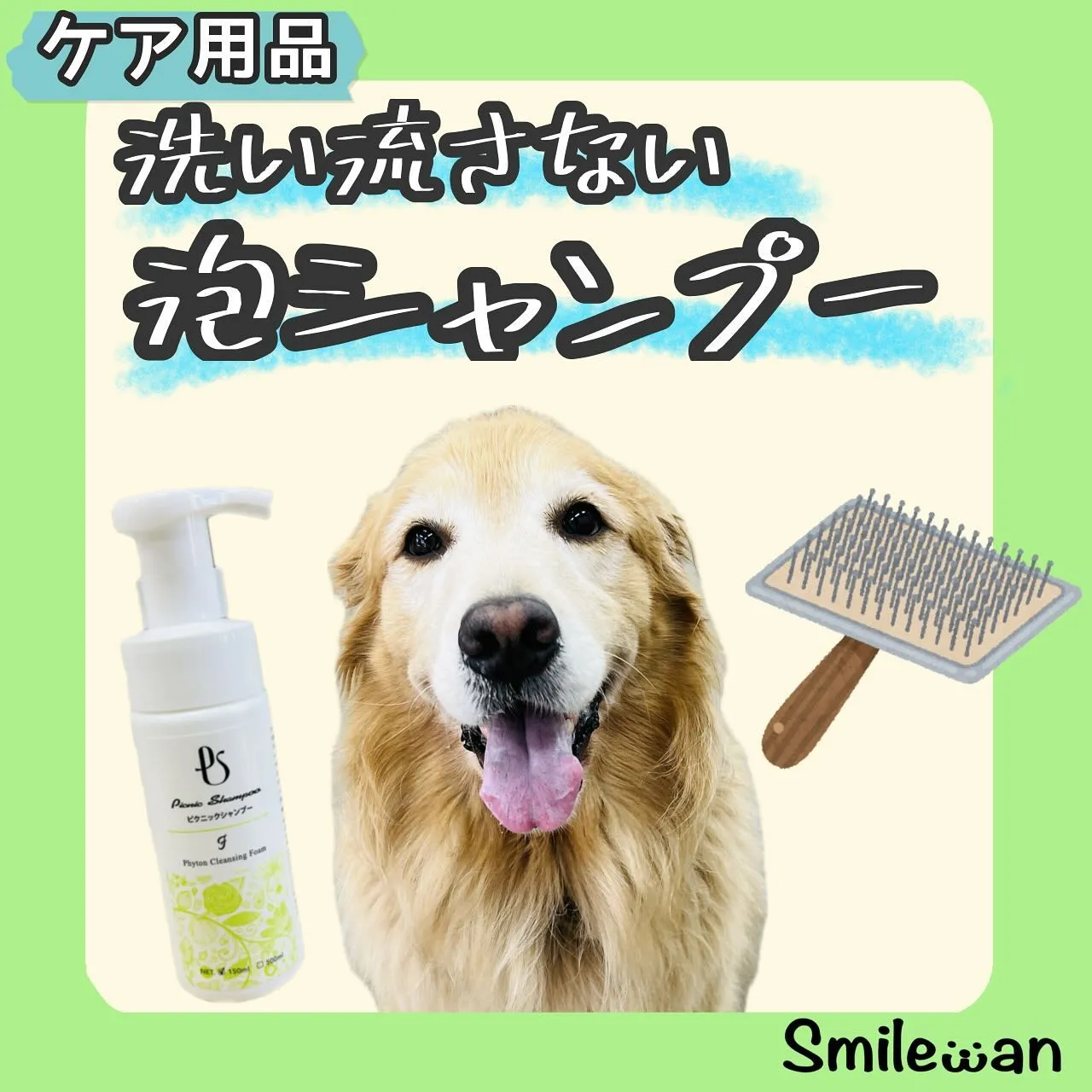 お手入れグッズ🐾