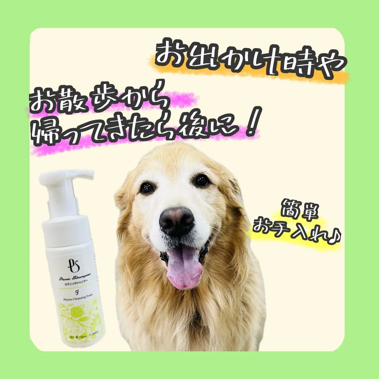 お手入れグッズ🐾