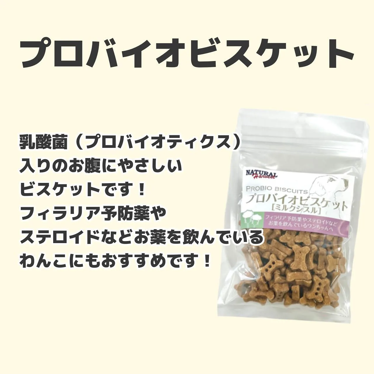 わんこのおやつ🐾