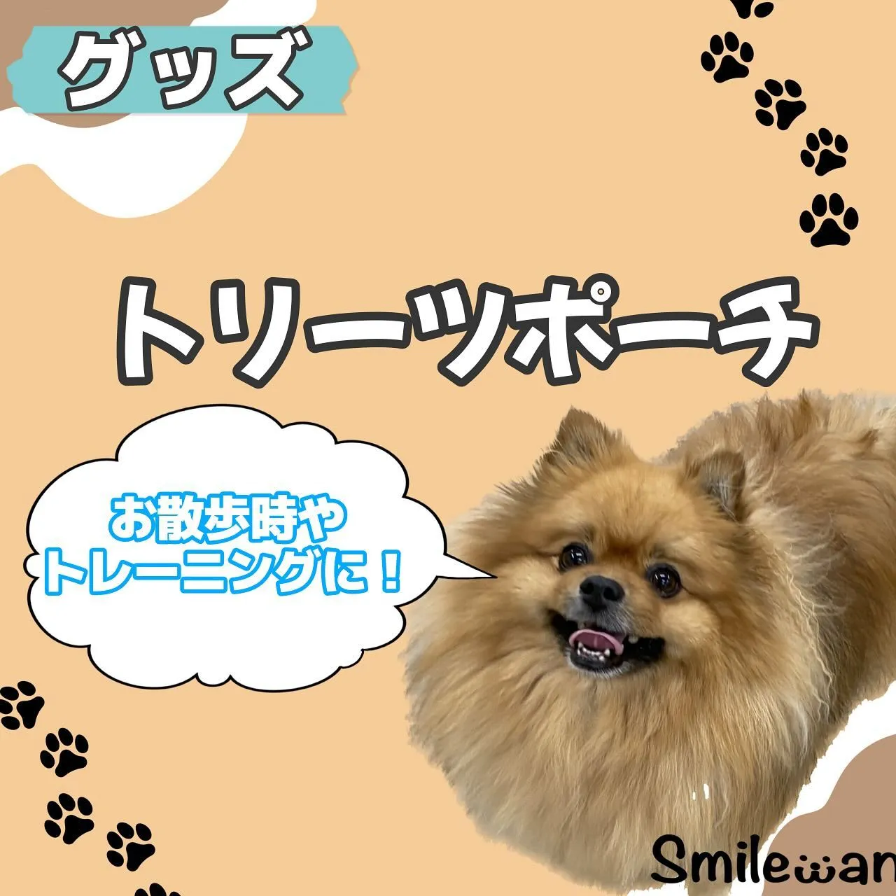 トレーニンググッズ🐾