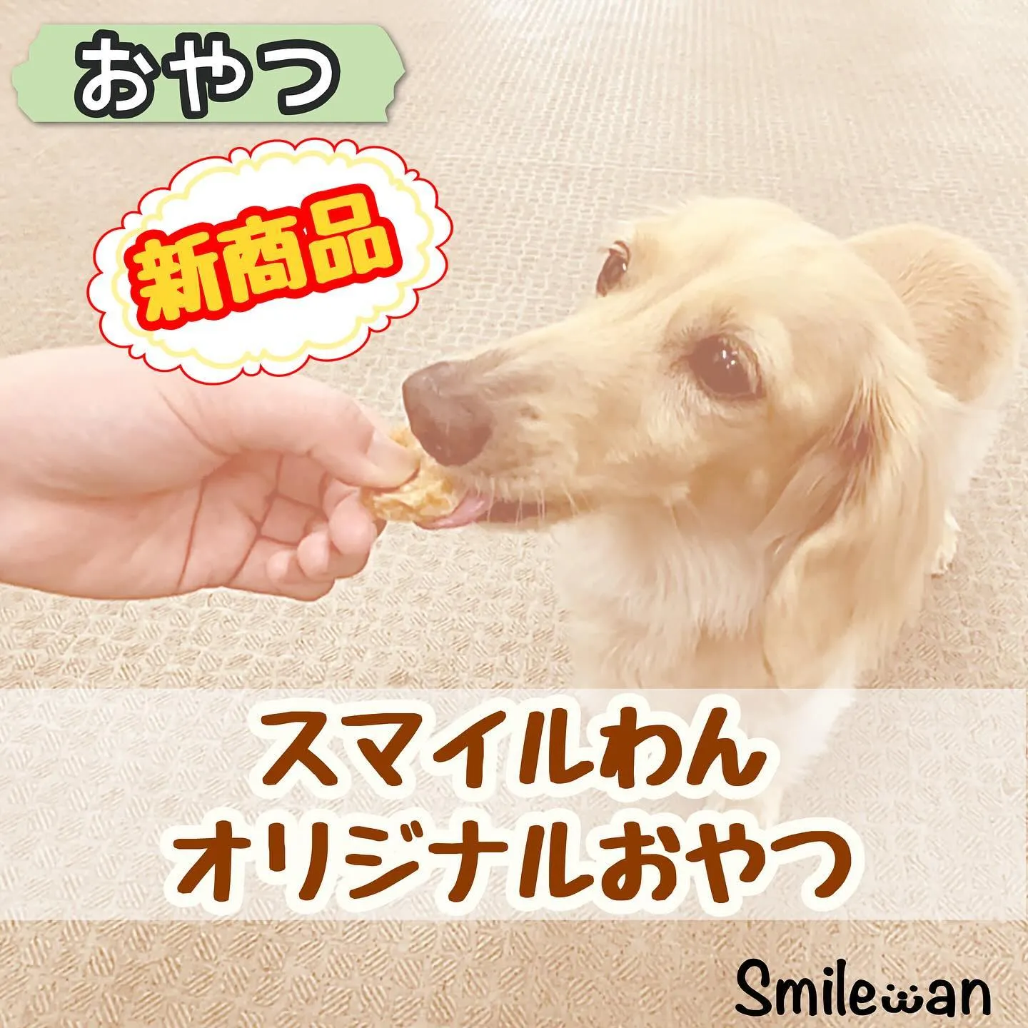 わんこのおやつ🍪