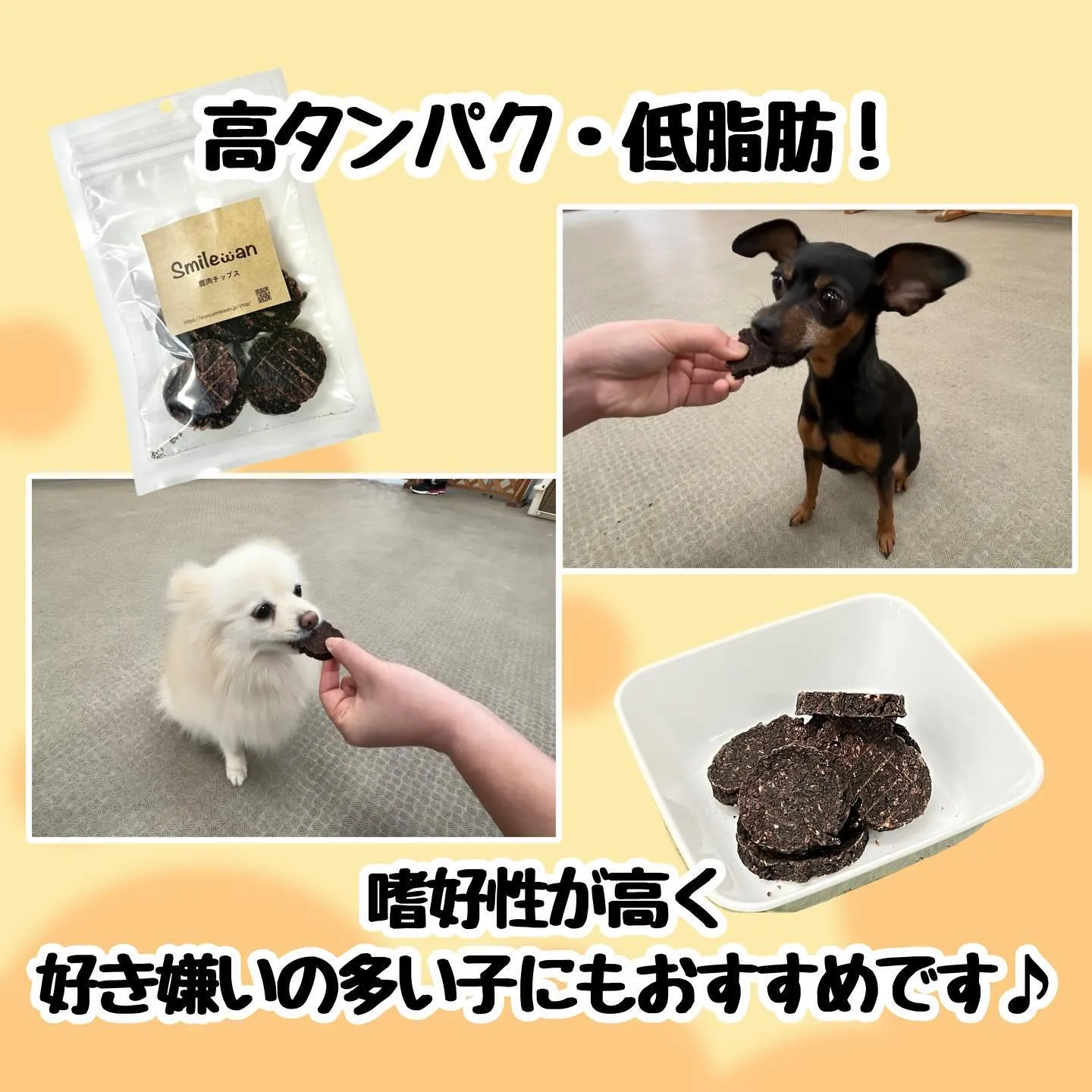 わんこのおやつ🐾