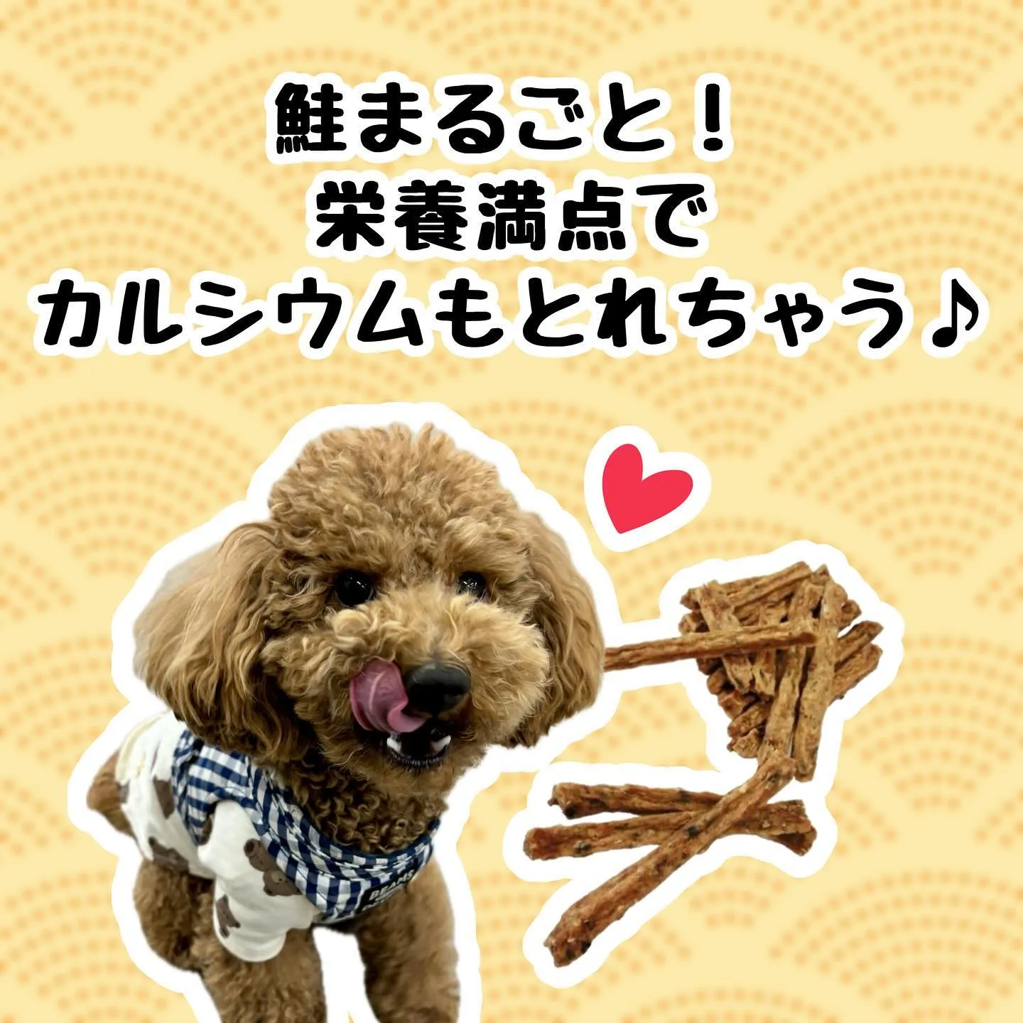 わんこのおやつ🎶