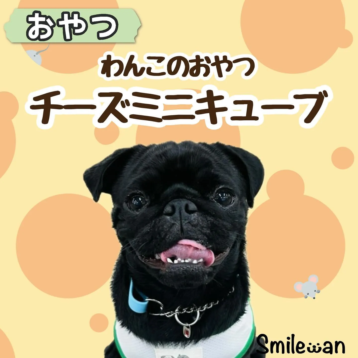 わんこのおやつ🐶