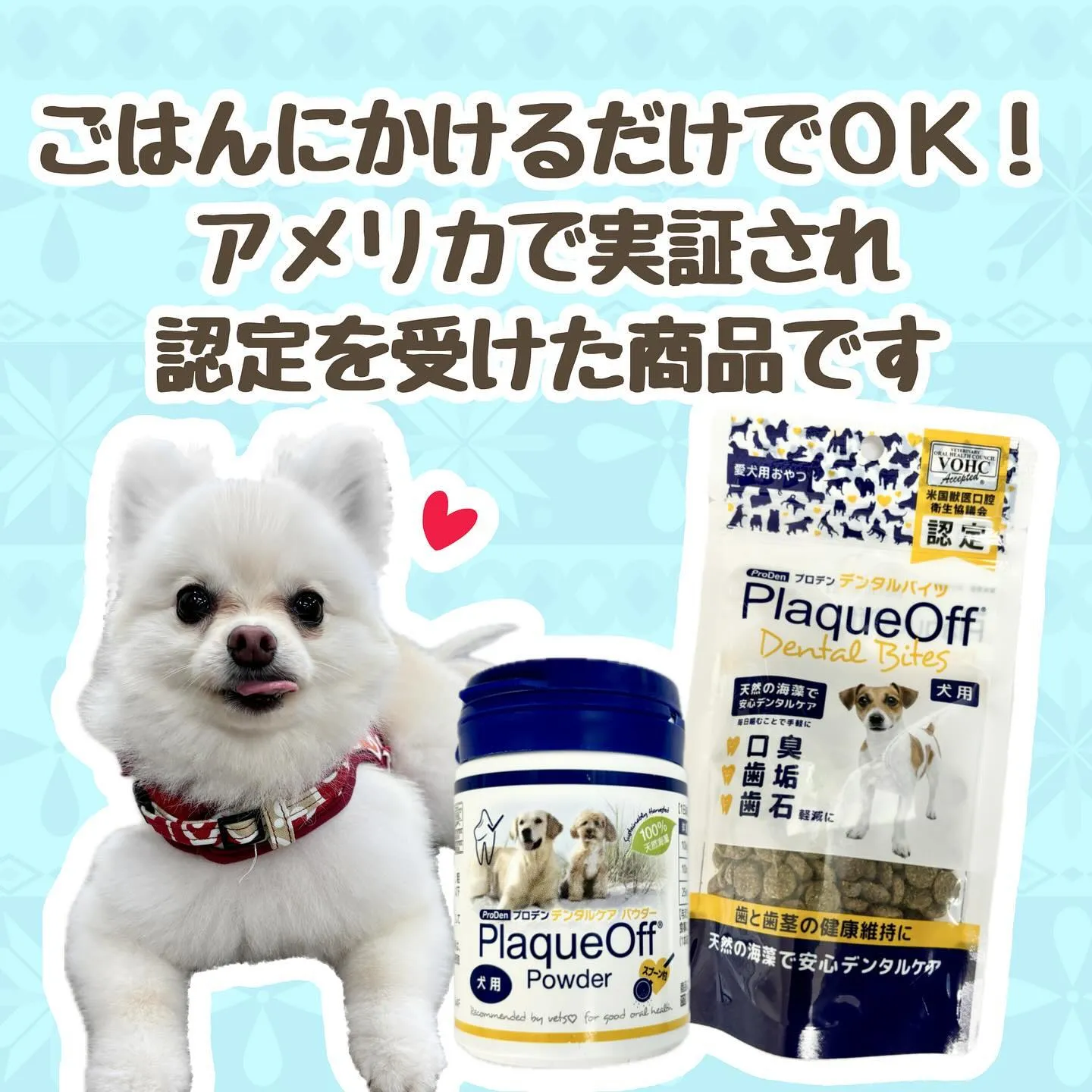 デンタルケアシリーズ🦷🪥