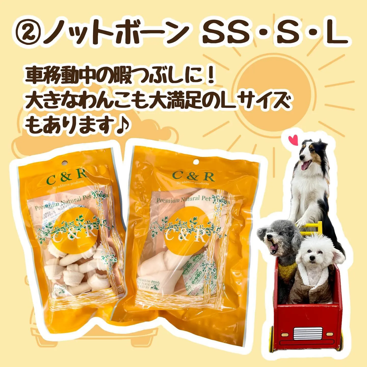 待ちに待ったゴールデンウィーク！