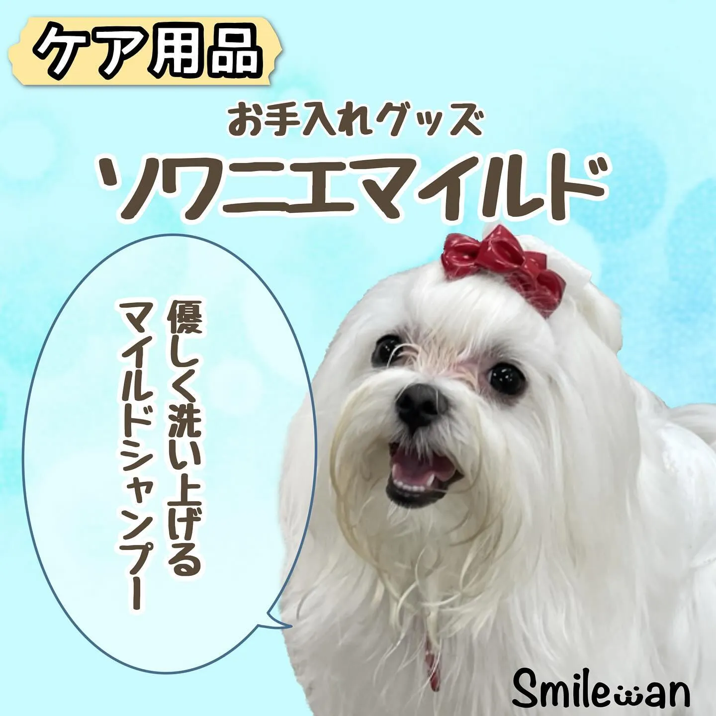 オススメシャンプー🧴🫧