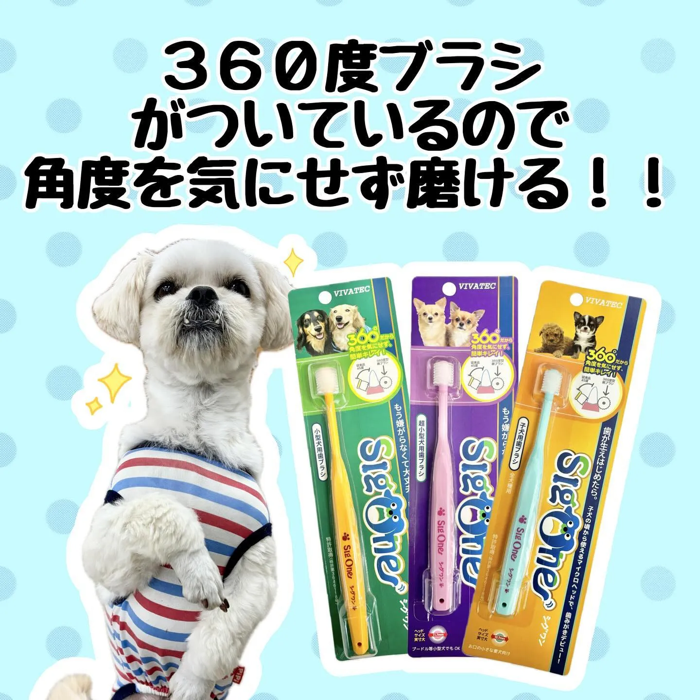 デンタルケア🦷🪥✨